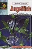 The Guide to Owning Angelfish (Aquatic)
