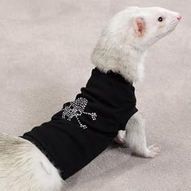 Biddie Buddies Ferret Rhinestone Tee MEDIUM - BLACK - Biddie Buddies Ferret Rhinestone Tee