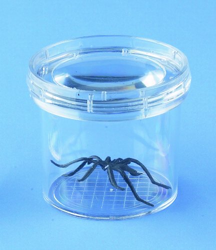 Bug Viewer with Magnifying Lid (Pack of 3 Bug Viewers)