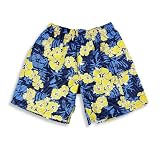 Mulberribush - Toddler Boys Swimsuit, Blue, Yellow
