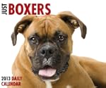 Just Boxers Daily Box Calendar 2013