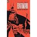Batman Graphic Novels that I own and you should too!