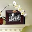 Detroit Red Wings Memory Company Team Photo Album NHL Hockey Fan Shop Sports Team Merchandise