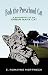 manx22  - Bob the Preschool Cat A Biography of an
