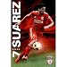 (24x36) Liverpool FC Luis Suarez Sports Poster Print