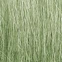 Field Grass, Light Green