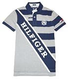 Tommy Hilfiger Men Custom Fit striped Logo Polo T-shirt