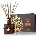 Thymes Wildwood Bitter Orange and Cedar Diffuser