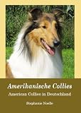 Amerikanische Collies: American Collies in Deutschland