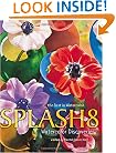 Splash 8: Watercolor Discoveries