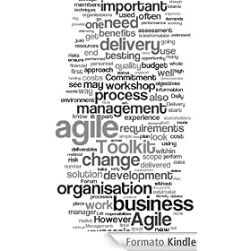 Big AGILE Toolkit