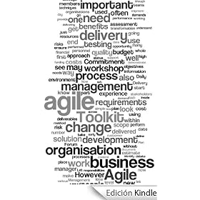 Big AGILE Toolkit