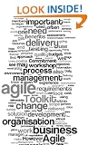Big Agile Toolkit