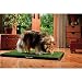 Pup-Head Portable Dog Potty - Large Size 30