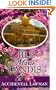 The Accidental Lawman (Center Point Christian Romance (Large Print))