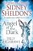 Sidney Sheldon's Angel of the Dark