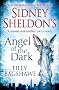 Sidney Sheldon's Angel of the Dark