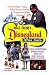 Disneyland After Dark - Movie Poster / Print -- Custom Framing Available
