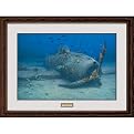 Silent Guns Framed Print By Randall Scott