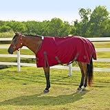 Saxon 600D Turnout Sheet 69 Red/Brown