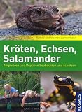 Produkt-Bild: Kr&ouml;ten, Echsen, Salamander: Amphibien und Reptilien beobachten und sch&uuml;tzen