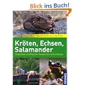 Kr�ten, Echsen, Salamander: Amphibien und Reptilien beobachten und sch�tzen