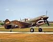P-40 Warhawk (On Ground) Art Poster Print - 16x20