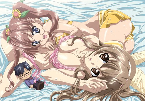 乃木坂春香の秘密 オリジナルB2タペストリー B:春香&美夏