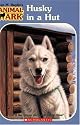 Husky in a Hut (Animal Ark Series #36)