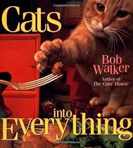 Cats Into Everything