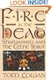 Fire in the Head: Shamanism and the Celtic Spirit