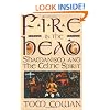 Fire in the Head: Shamanism And The Celtic Spirit