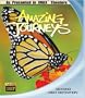 Amazing Journeys [Blu-ray]
