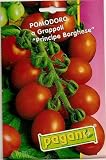 51n8LNfWjvL. SL160  Pomodoro a Grappoli Principe Borghese Tomato Seeds 3 g