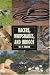 Racers, Whipsnakes and Indigos (Herpetology Series)