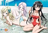 僕は友達が少ない B2タペストリー プールサイド