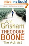 Theodore Boone: The Activist (Theodor...