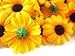 (24) Silk Yellow Sunflower Gerbera Daisy Flower Heads , Gerber Daisies - 1.75