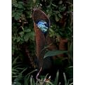 Illuminarie Calla Lily Garden Stake