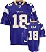 Sidney Rice Minnesota Vikings Purple NFL Replica Jersey