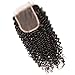 Nadula 8A Unprocessed Brazilian Curly Virgin Human Hair with Free Part Lace Closure Pack of 4 Remy Human Hair Natural Color (12 14 16+10closure)