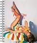 Pin Ups Diary 2014 (Taschen Spiral Diaries)