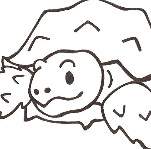 PaintaDoodle 12 x 12 Spur Thighed Tortoise Painting Kit