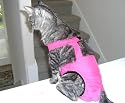 Joybies Hot Pink Piddle Pants(TM) for XXX Small Cat (Measuring 7"-9" From Collar to Base of Tail)