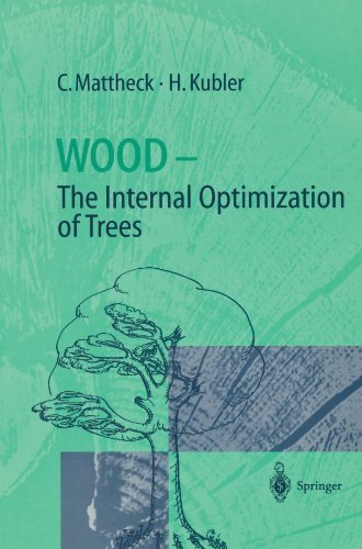 wood the internal optimization of trees springer series in wood science