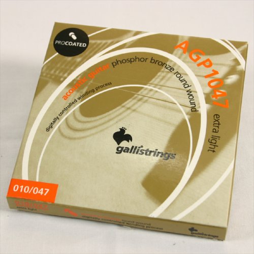 ◎gallistrings AGP1047 アコースティックギター弦 1セット 010?047