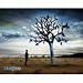 God Of This City by Bluetree