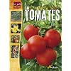 La culture des tomates