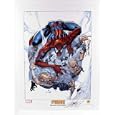 Amazing Spider-Man #30 Lithograph Signed by J.Scott Campbell