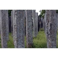 Poster 60 x 40 cm - "Ruins of Brazen Palace, 1600 stone columns." von Oliver Strewe / Lonely Planet Images - auch in anderen Gr��en und als Leinwandbild erh�ltlich